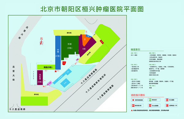 17一起草视频在线网站北京市朝阳区桓兴肿瘤医院平面图